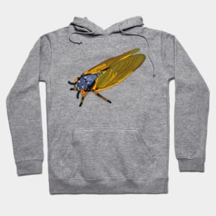 Cicada Hoodie